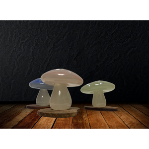 
                  
                    Glass Mushroom Art
                  
                