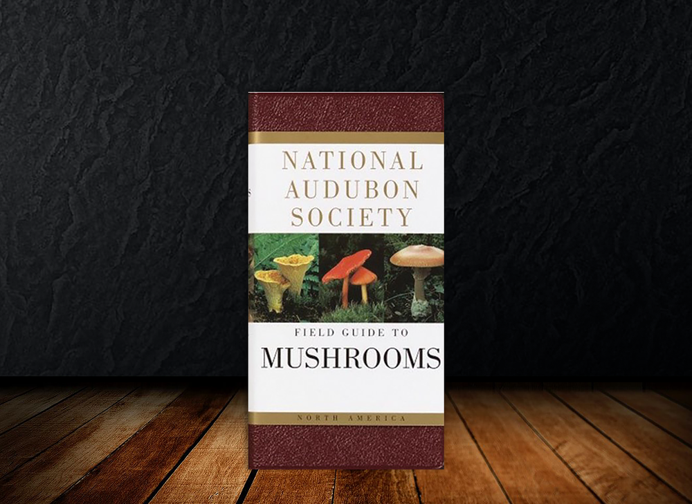 National Audubon Society Field Guide to Mushrooms: North America Book