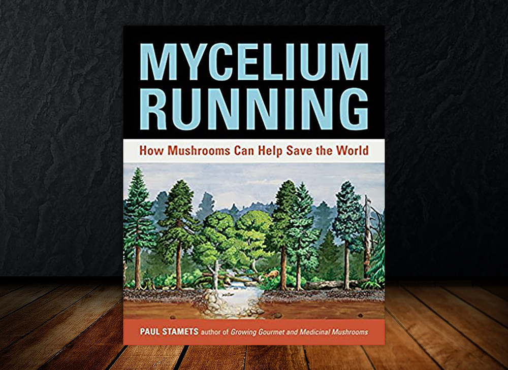 Mycelium Running: How Mushrooms Can Help Save the World Book