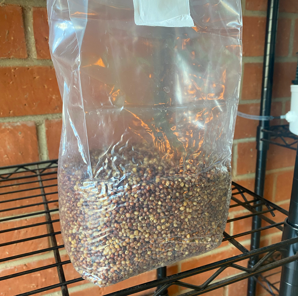 3 lb Sterilized Milo Grain Mushroom Spawn Bags in Unicorn Bags