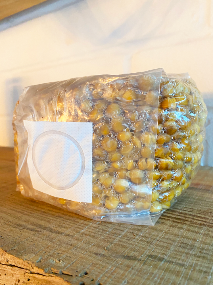 3 lb Sterilized Corn Grain Mushroom Spawn Bags with Injection Port